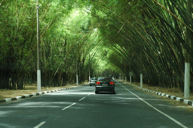 On the way to Felipe's house from the airport