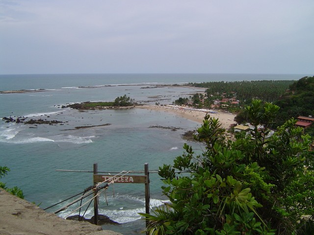 The zip line