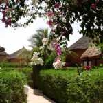 The Residence