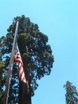 Good ol' US of A