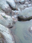 Brandon in some cold water