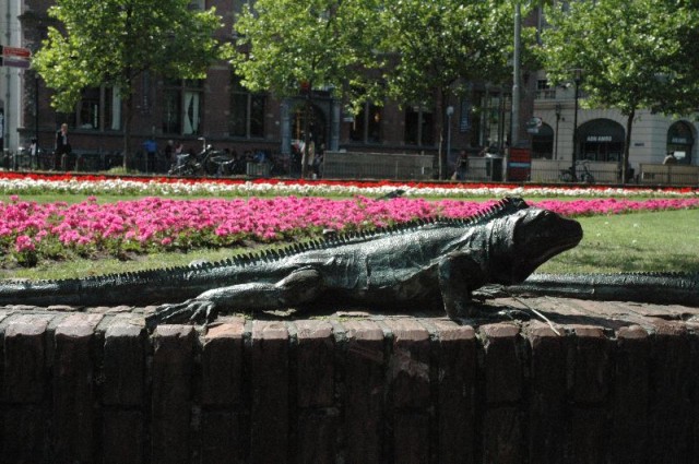 Lizard