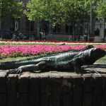 Lizard