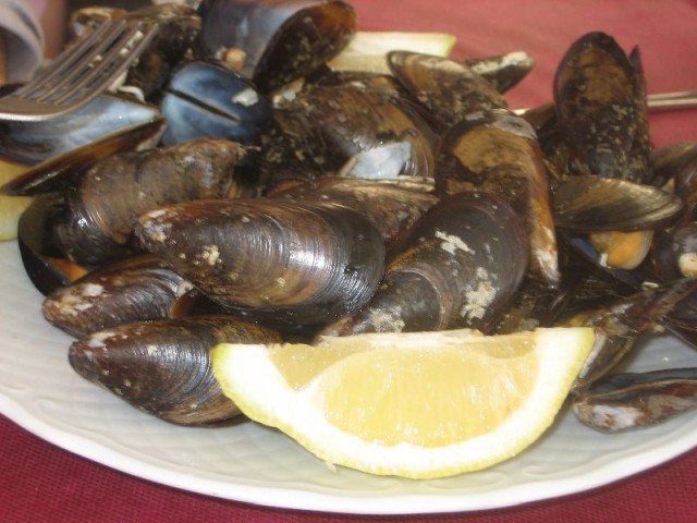 Mussels