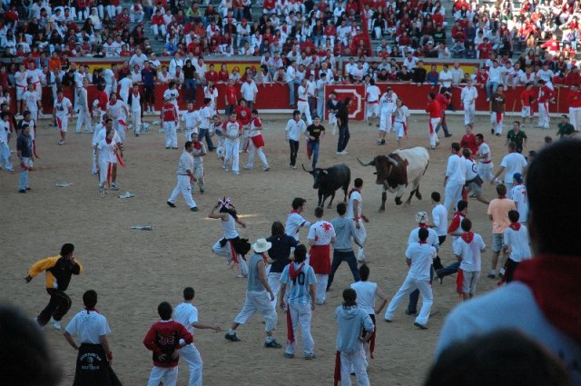 Herding the little bull
