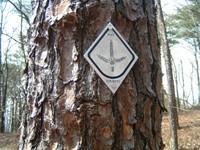 Highlight for Album: Hiking The Pinhoti trail